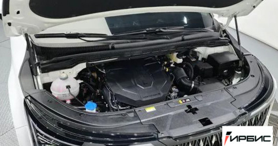 Kia Carnival NEW 