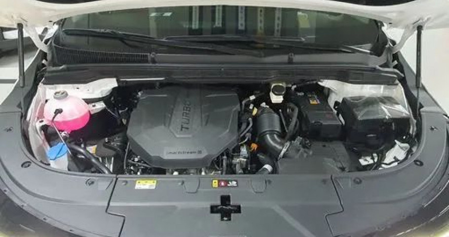 Kia Carnival NEW 