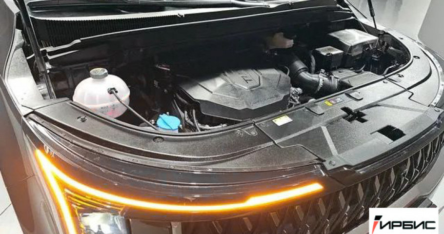 Kia Carnival NEW 