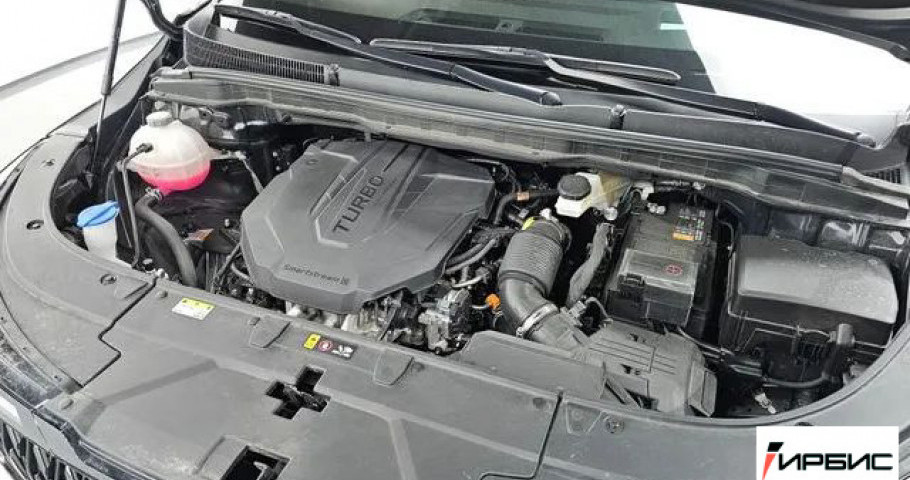 Kia Carnival NEW 